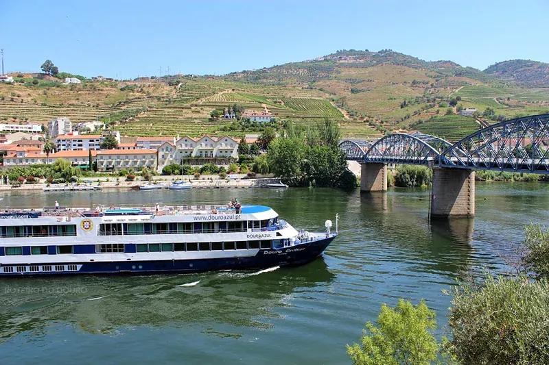 A river cruise ship among terraced vineyard hills