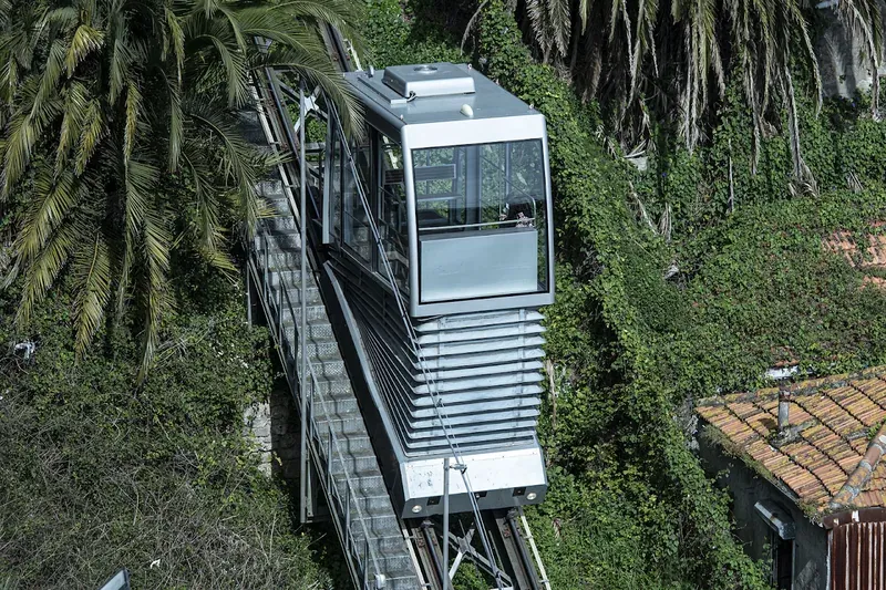 A funicular car climbing a steep, leafy hillside track
