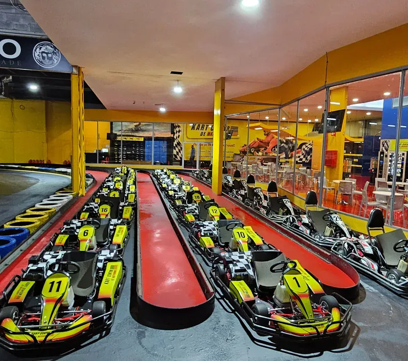 Rows of go-karts lined up on an indoor track